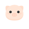 Lovely-Pig